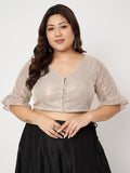 Plus Size Shimmer Stripe Button Down Crop Top